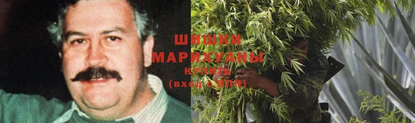 Альфа ПВП Осинники